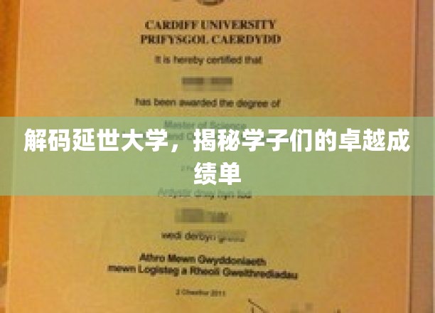 延世骄子，解码卓越成绩单背后的传奇故事