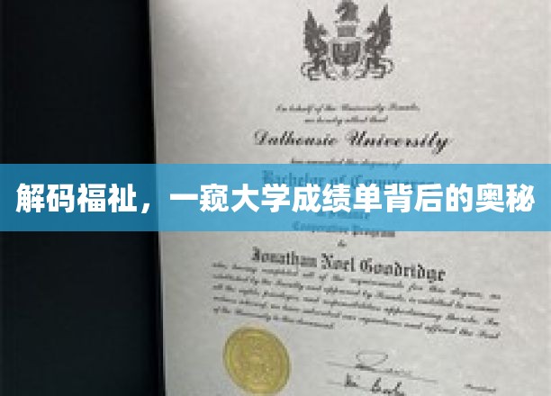 探寻成绩单秘境，揭秘大学生活的福祉密码