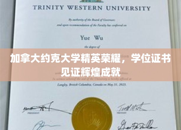 加拿大约克大学精英荣耀，学位证书见证辉煌成就