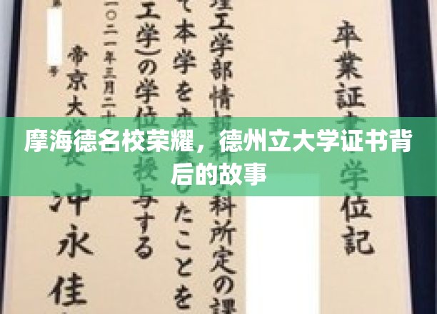 摩海德名校荣耀，德州立大学证书背后的故事