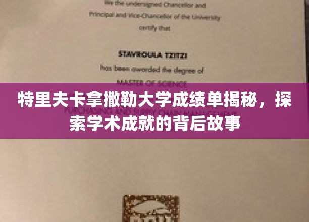 揭开特里夫卡拿撒勒大学优秀成绩单背后的辉煌篇章