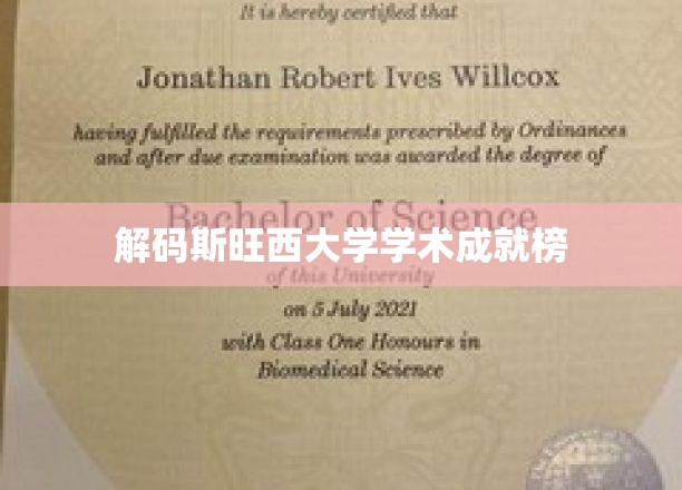 斯旺西大学学术成就一览
