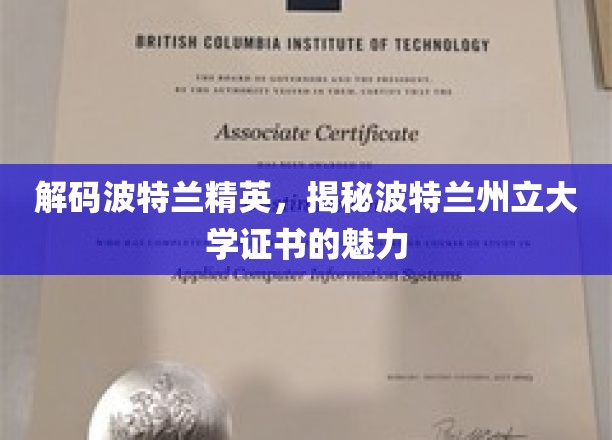 波特兰精英摇篮，波特兰州立大学证书的独到魅力