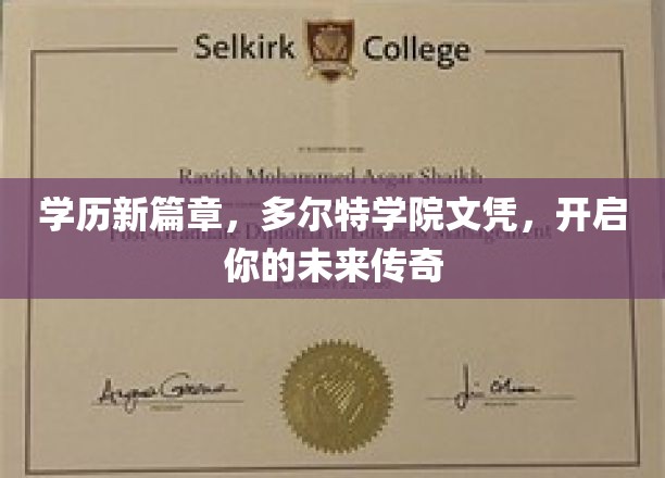 学历新篇章，多尔特学院文凭，开启你的未来传奇