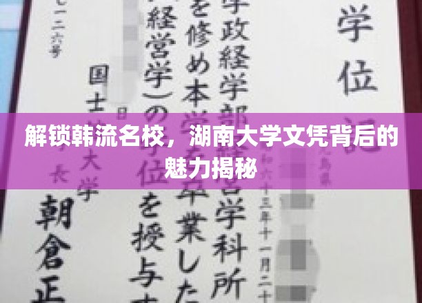解锁韩流名校，湖南大学文凭背后的魅力揭秘