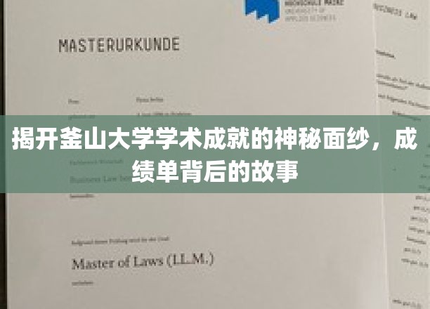 探索釜山大学非凡成就，揭秘学术殿堂背后的辉煌历程