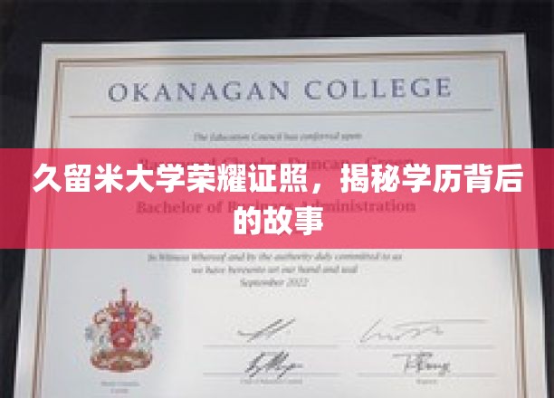 久留米大学荣耀证照，揭秘学历背后的故事