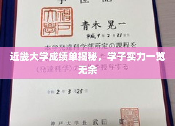 近畿大学成绩单揭秘，学子实力一览无余