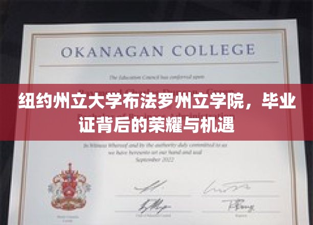 布法罗学院毕业证书，解锁纽约州立大学的辉煌未来之路