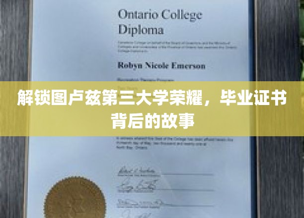 探寻图卢兹第三大学荣耀之谜，毕业证书背后的传奇历程