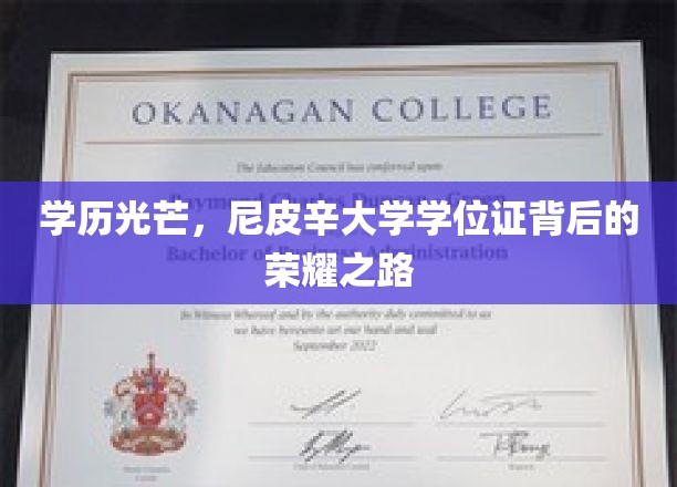 尼皮辛荣耀，探索学历光芒背后的辉煌历程