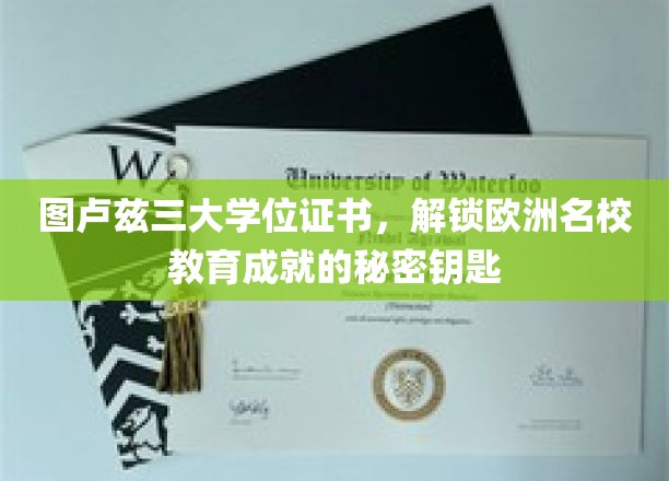 解锁图卢兹三大学位，开启欧洲名校教育成就之门