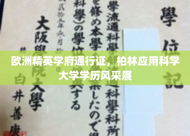 解锁柏林应用科学大学精英光环，学历风采全球瞩目