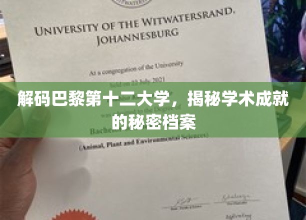 巴黎第十二大学传奇档案，探秘非凡学术成就的奥秘之路