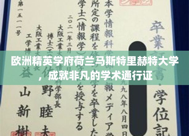 探索荷兰马斯特里赫特大学的卓越学术之旅，开启非凡国际通行证之旅