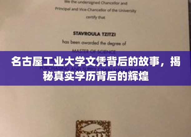 名古屋工业大学文凭背后的故事，揭秘真实学历背后的辉煌