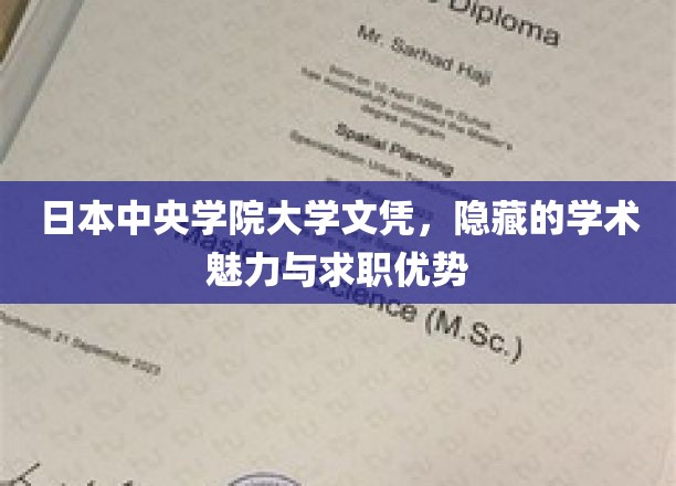 日本中央学院大学文凭，蕴含的学术魅力与求职优势
