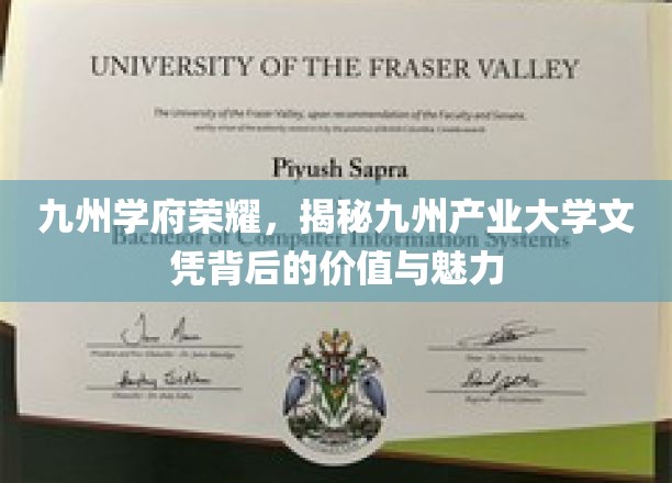 九州学府荣耀，揭秘九州产业大学文凭背后的价值与魅力