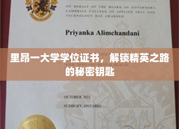 里昂大学学位，开启通往精英殿堂的神秘钥匙