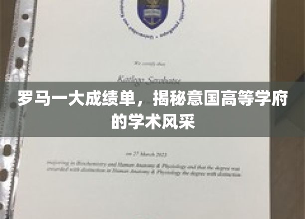 罗马一大成绩单，揭秘意国高等学府的学术风采