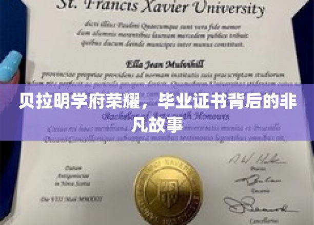 贝拉明学府传奇，揭秘毕业证书背后的璀璨人生篇章