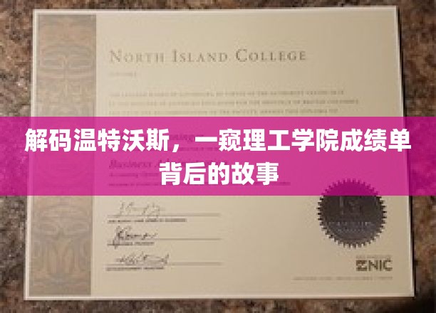 解码温特沃斯，一探理工学院成绩单背后的故事