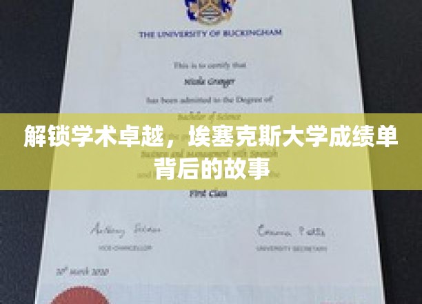 探寻埃塞克斯大学卓越成就的秘密，揭秘成绩单背后的传奇