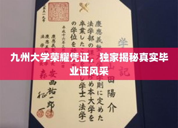 九州学府荣耀证章，一睹毕业证书的非凡风采