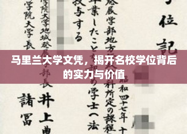 名校光环下的马里兰大学，探寻文凭背后的实力与价值
