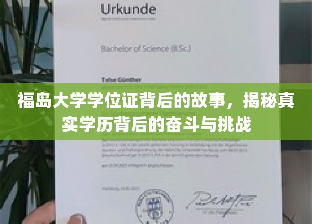 福岛大学学历背后的励志篇章，一场关于梦想与坚韧的角逐