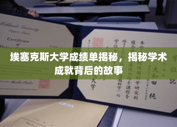 揭开埃塞克斯大学成绩单背后的辉煌篇章