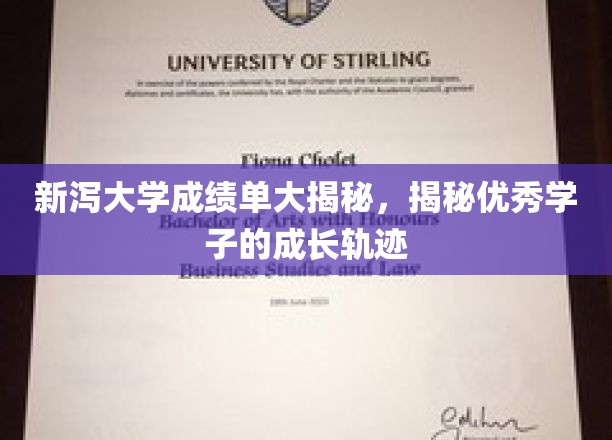 探寻新泻大学学霸养成记，揭秘优秀学子成长之路