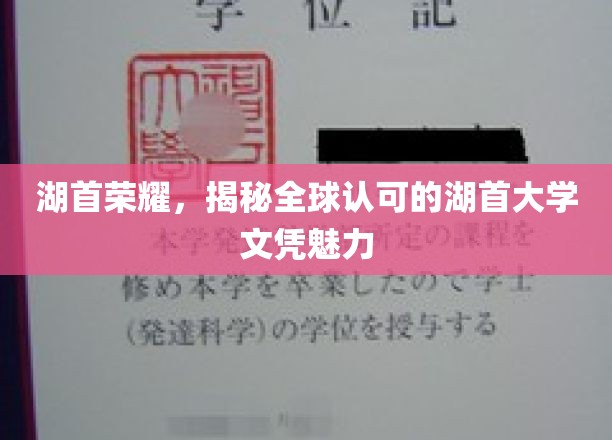 湖首大学文凭全球瞩目，揭秘背后的非凡魅力与荣耀