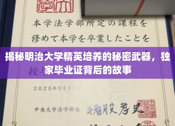 揭开明治大学精英摇篮的神秘面纱，探究独特毕业证书背后的传奇