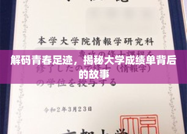 解码青春足迹，探寻大学成绩单背后的故事