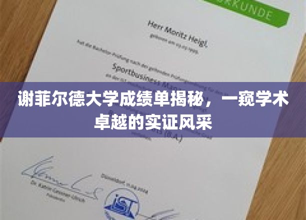 谢菲尔德大学成绩单揭秘，一窥学术卓越的实证风采