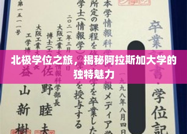 北极学位之旅，揭秘阿拉斯加大学的独特魅力