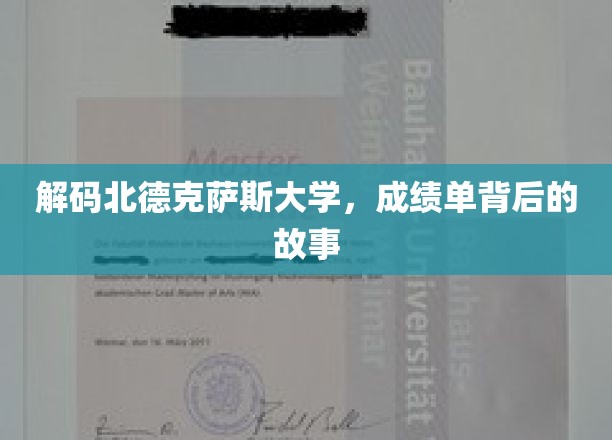 探寻北德克萨斯大学成绩单背后的真实画卷