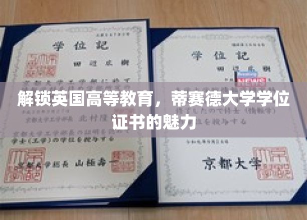 解锁英国高等教育，蒂赛德大学学位证书的魅力