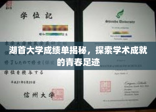 青春足迹里的学术荣耀，湖首大学成绩单背后的故事