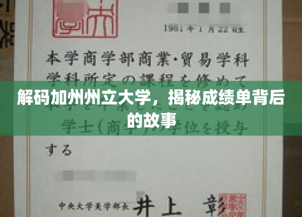 解码加州州立大学，揭秘成绩单背后的故事