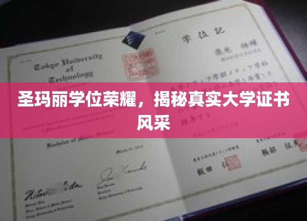圣玛丽荣耀证书背后的真实风采大揭秘！