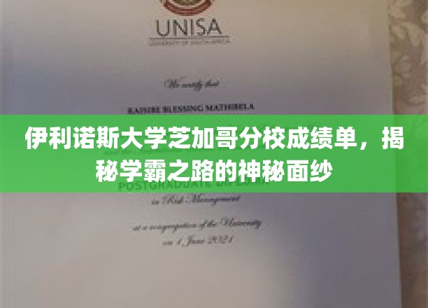 解锁伊利诺斯大学学霸秘籍，芝加哥分校成绩单背后的智慧轨迹