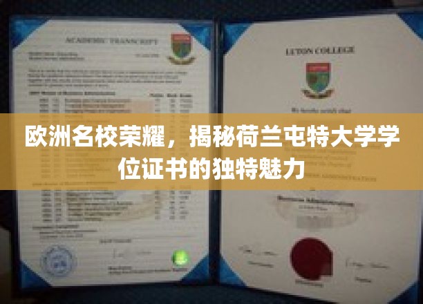 荷兰屯特大学学位证书，欧洲名校的璀璨名片