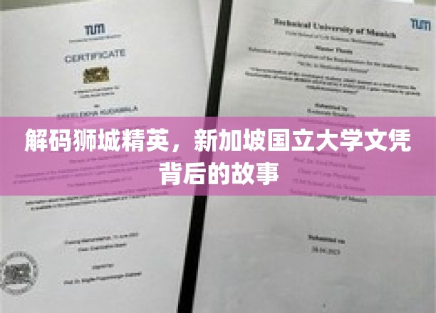 揭开狮城学府荣耀，新加坡国立大学文凭的非凡之路
