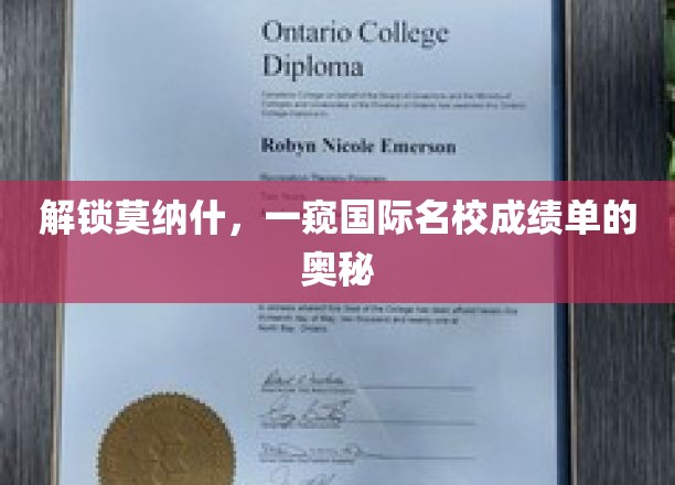解锁莫纳什，一窥国际名校成绩单的奥秘
