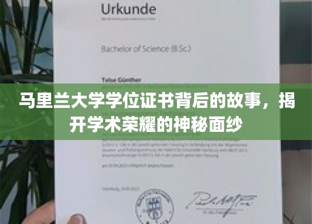 探寻马里兰大学学位证书背后的传奇，揭秘学术荣耀的非凡历程