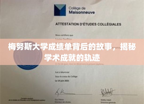 梅努斯大学成绩单背后的故事,揭秘学术成就的轨迹