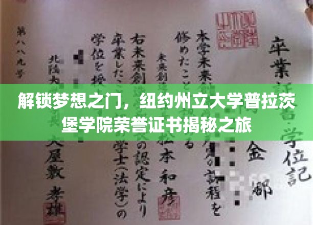 探寻纽约州立大学普拉茨堡学院荣誉证书背后的荣耀之路