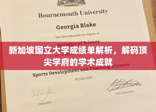 新加坡国立大学成绩单深度揭秘，解码学术卓越的秘密武器
